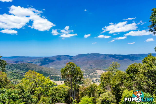1-3 Willow Court BEECHMONT QLD 4211