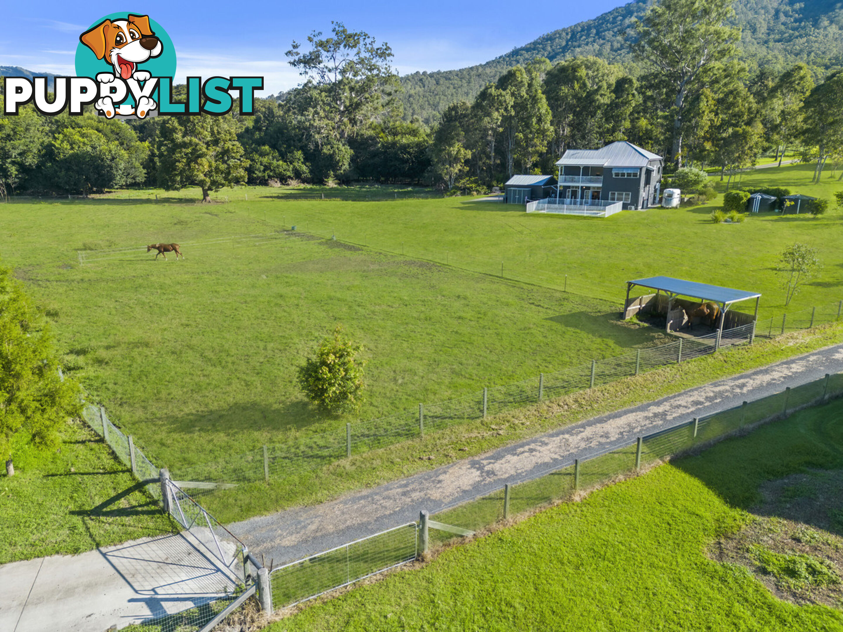 2368 Beaudesert-Nerang Road CANUNGRA QLD 4275