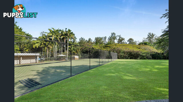 65 Riverlea Waters Drive NERANG QLD 4211