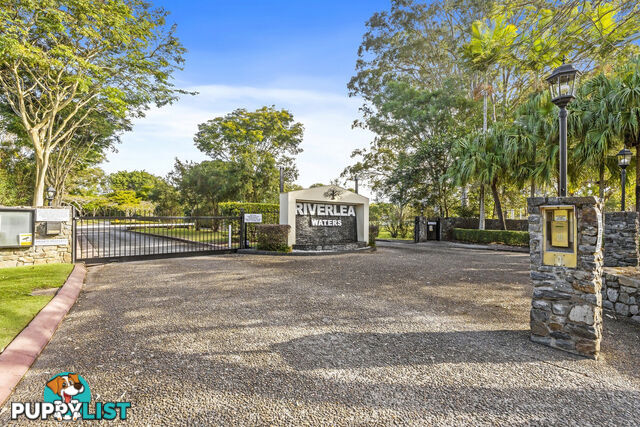 65 Riverlea Waters Drive NERANG QLD 4211