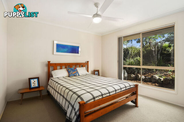 16 Paladin Court NERANG QLD 4211