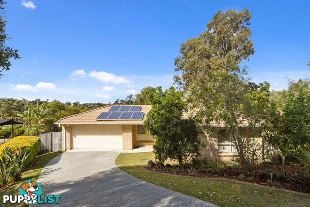 16 Paladin Court NERANG QLD 4211