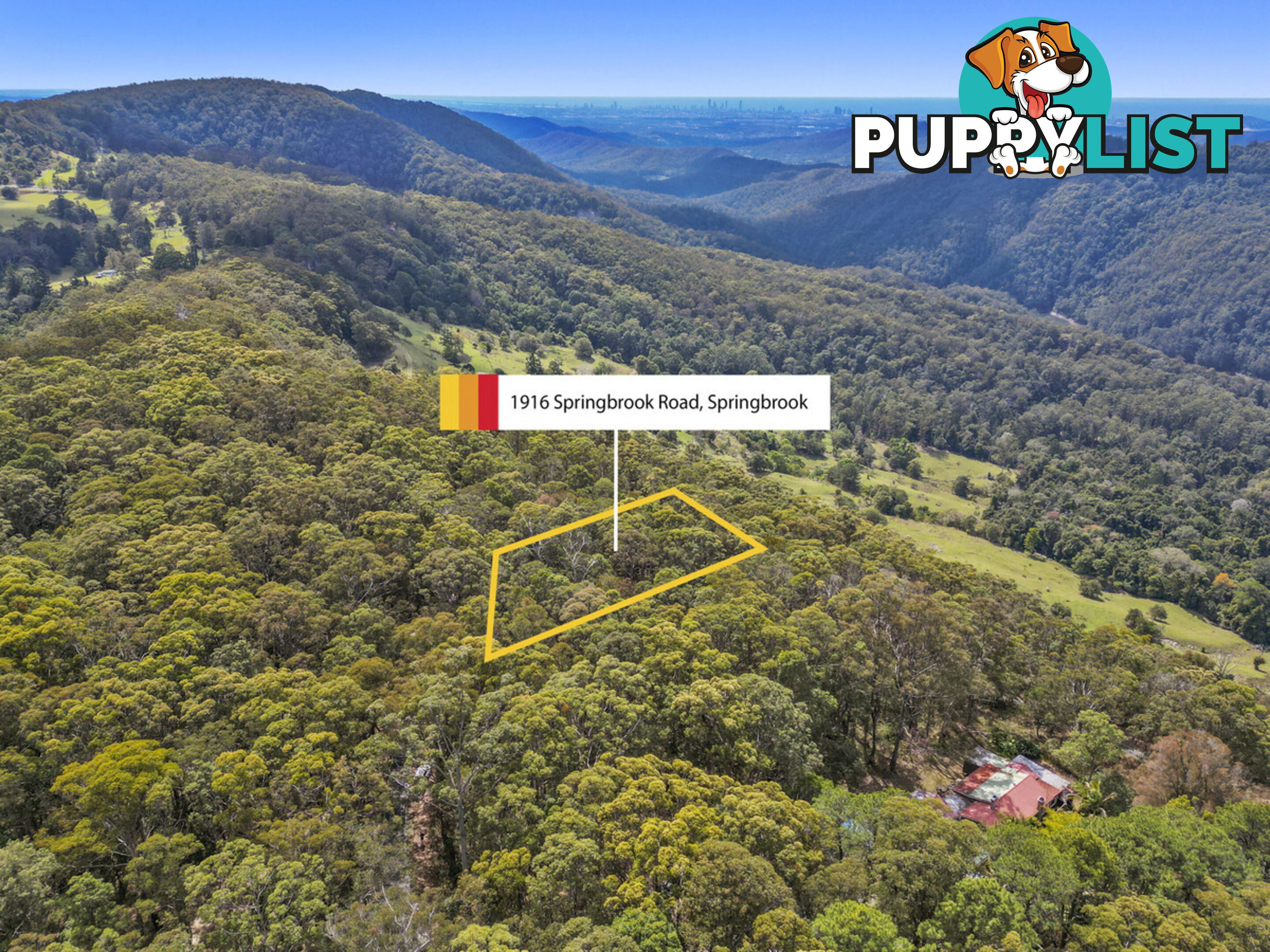 1916 Springbrook Road SPRINGBROOK QLD 4213