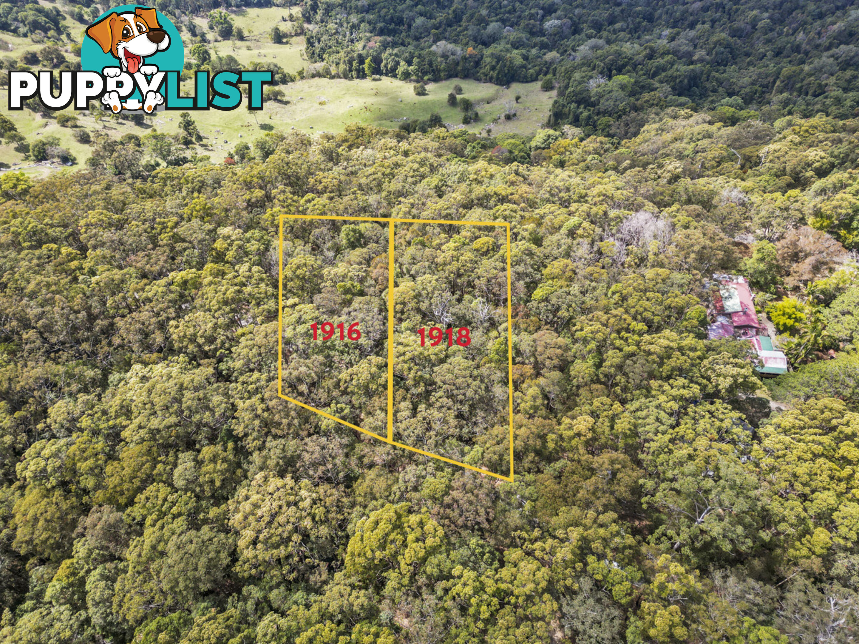 1916 Springbrook Road SPRINGBROOK QLD 4213