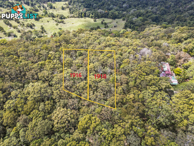 1916 Springbrook Road SPRINGBROOK QLD 4213