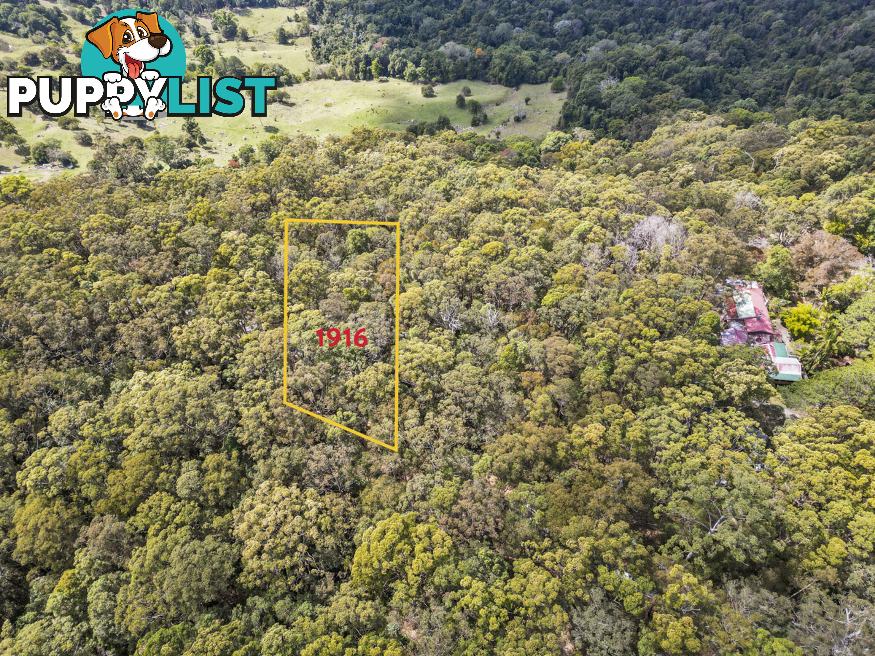 1916 Springbrook Road SPRINGBROOK QLD 4213