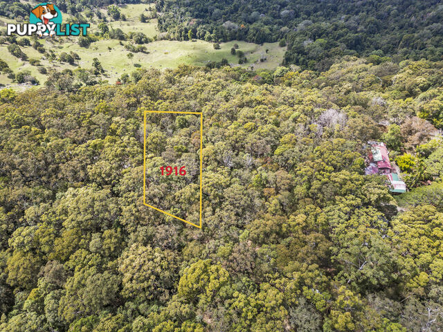 1916 Springbrook Road SPRINGBROOK QLD 4213