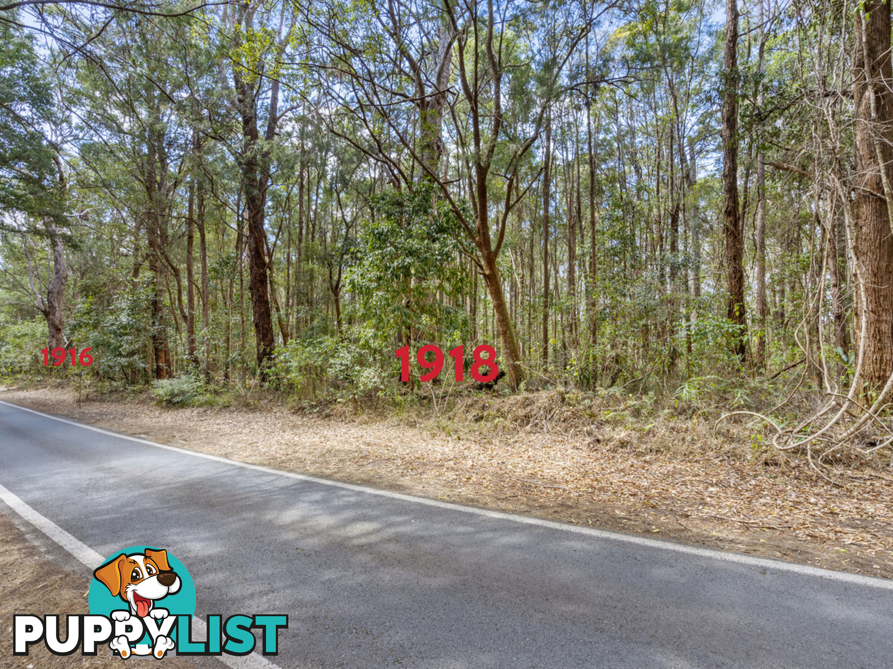 1916 Springbrook Road SPRINGBROOK QLD 4213