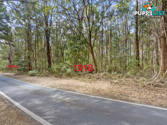 1916 Springbrook Road SPRINGBROOK QLD 4213