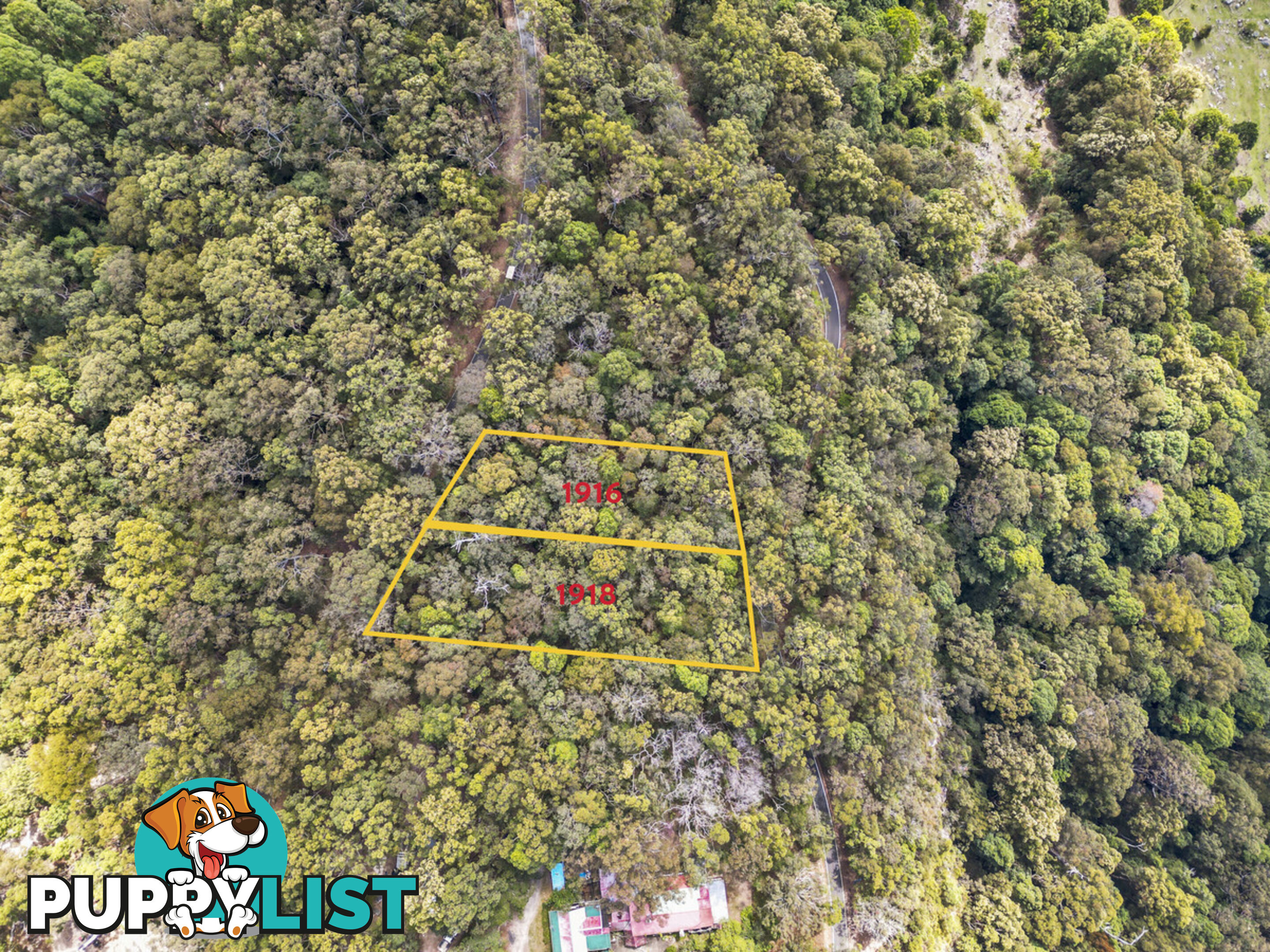 1916 Springbrook Road SPRINGBROOK QLD 4213