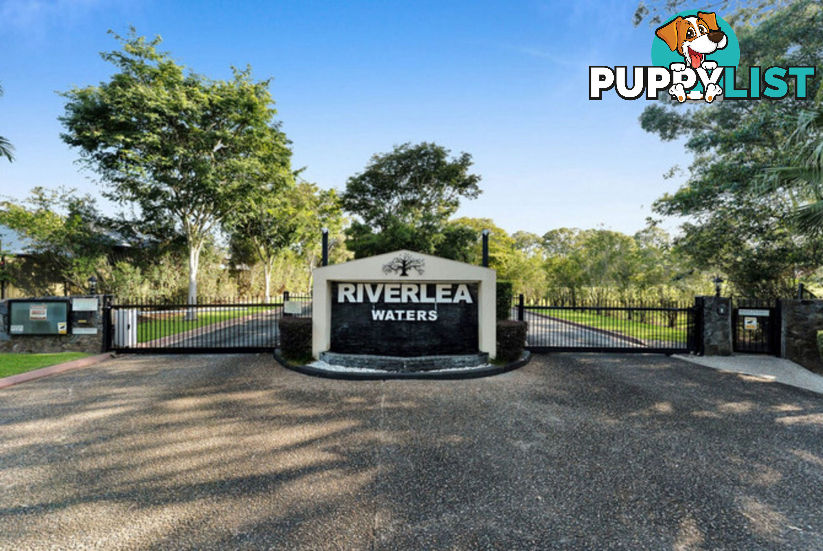 64 Riverlea Waters Drive NERANG QLD 4211