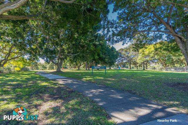 16 Souter Street NERANG QLD 4211