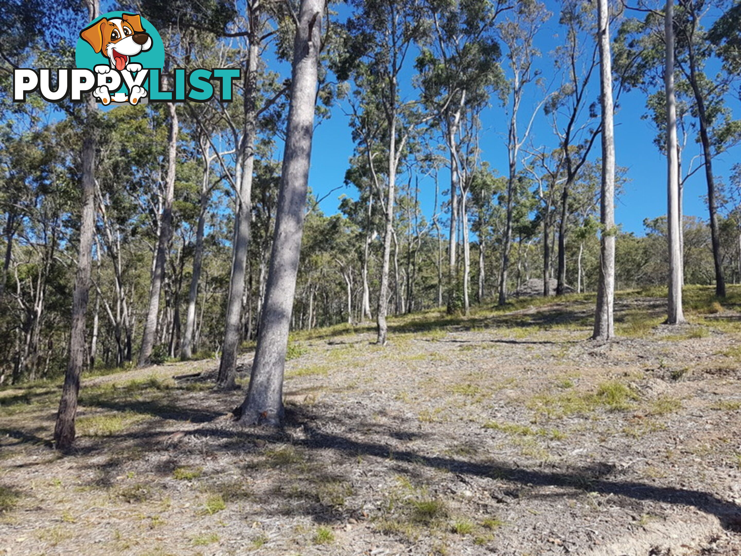 Lot 89 Valleyview Drive MOUNT NATHAN QLD 4211