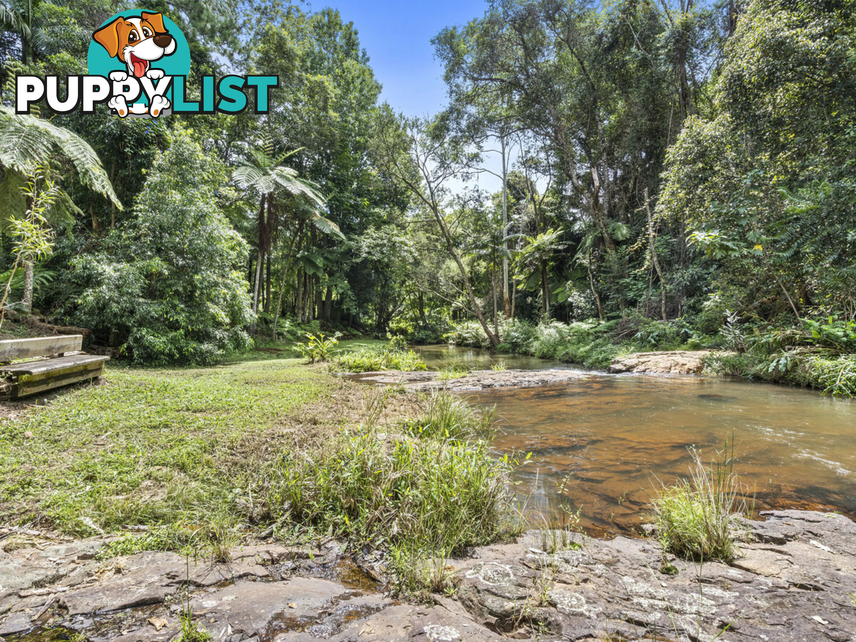 5-7 Lloyds Road SPRINGBROOK QLD 4213