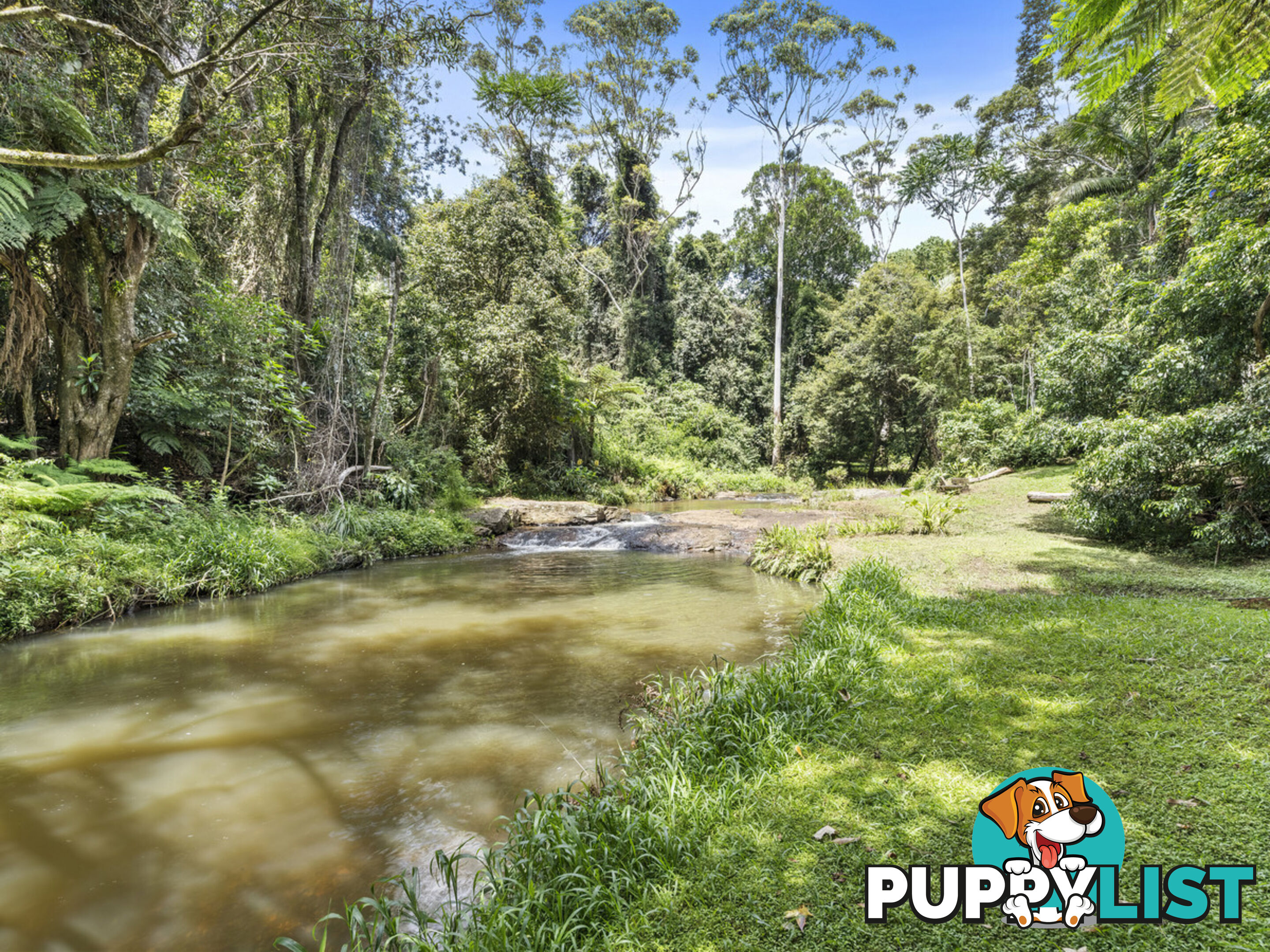 5-7 Lloyds Road SPRINGBROOK QLD 4213