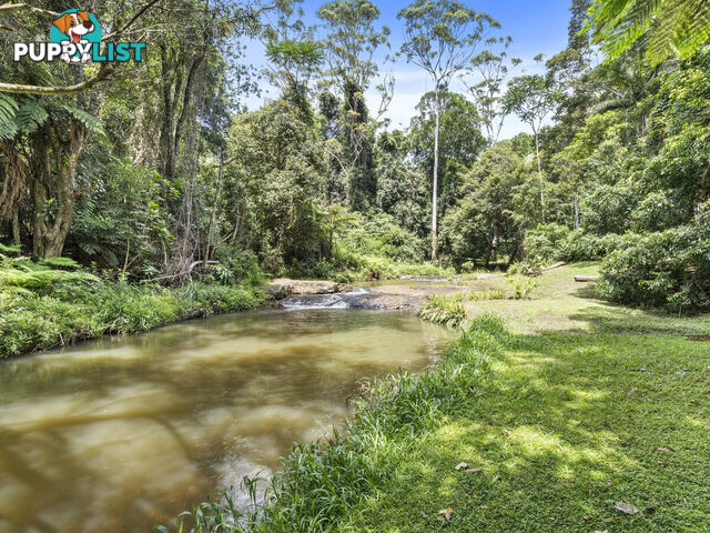 5-7 Lloyds Road SPRINGBROOK QLD 4213