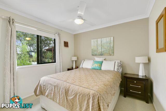 3 Tawanga Close PACIFIC PINES QLD 4211