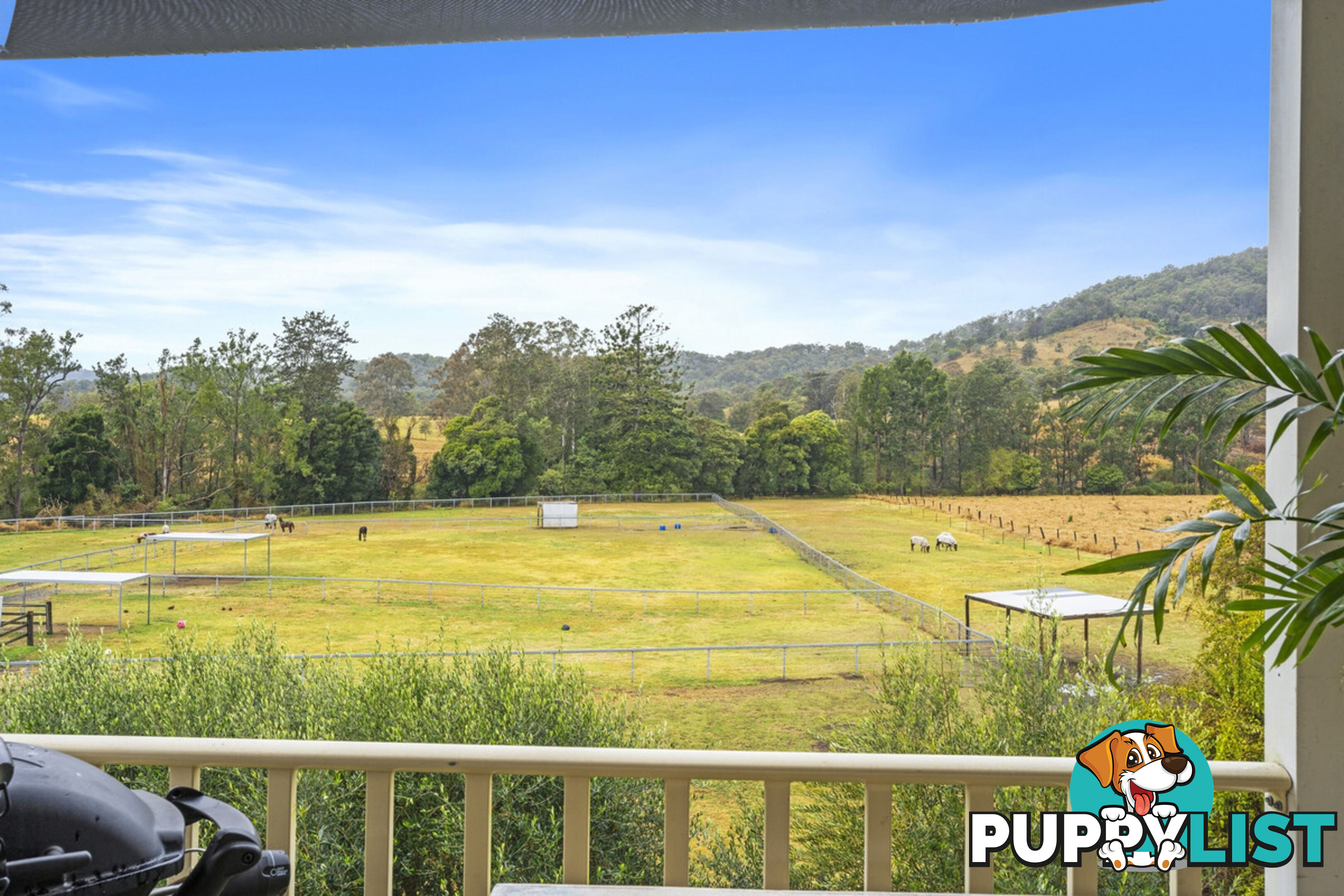 309 Upper Coomera Road FERNY GLEN QLD 4275