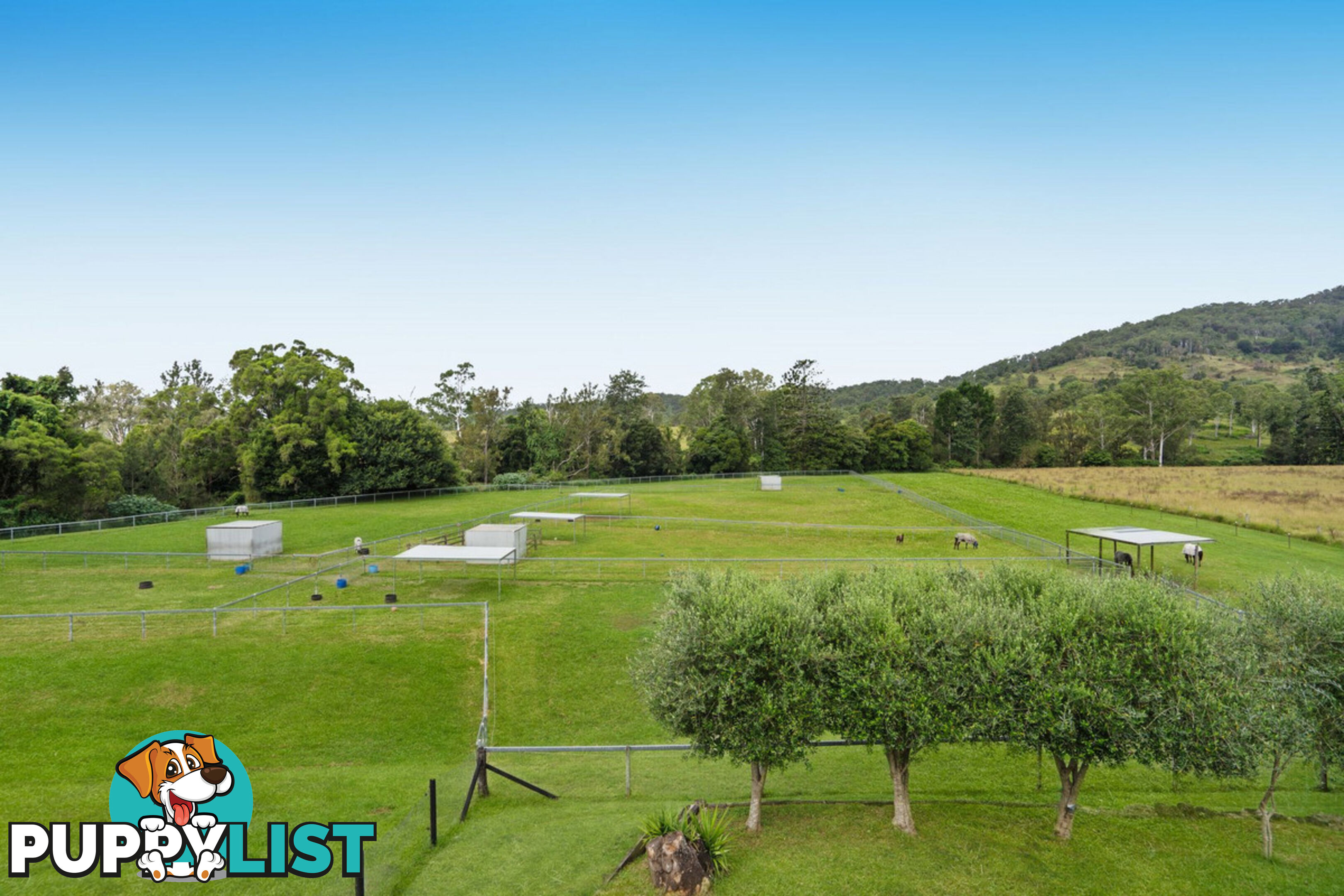 309 Upper Coomera Road FERNY GLEN QLD 4275