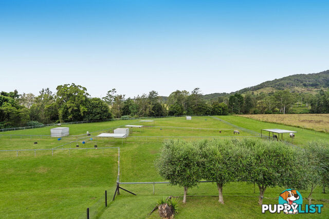 309 Upper Coomera Road FERNY GLEN QLD 4275