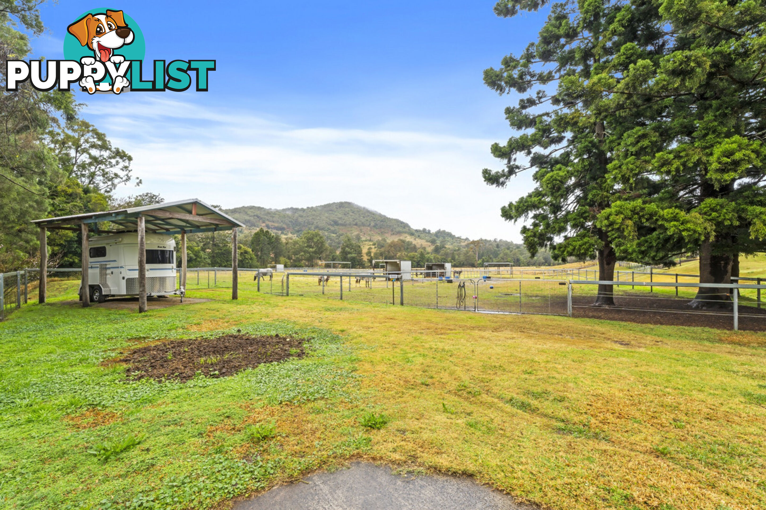 309 Upper Coomera Road FERNY GLEN QLD 4275