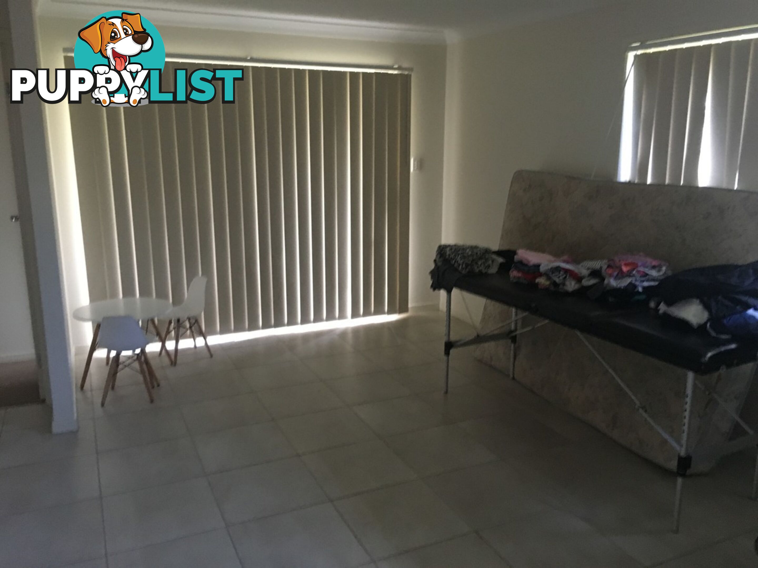 64 Dixon Drive PIMPAMA QLD 4209