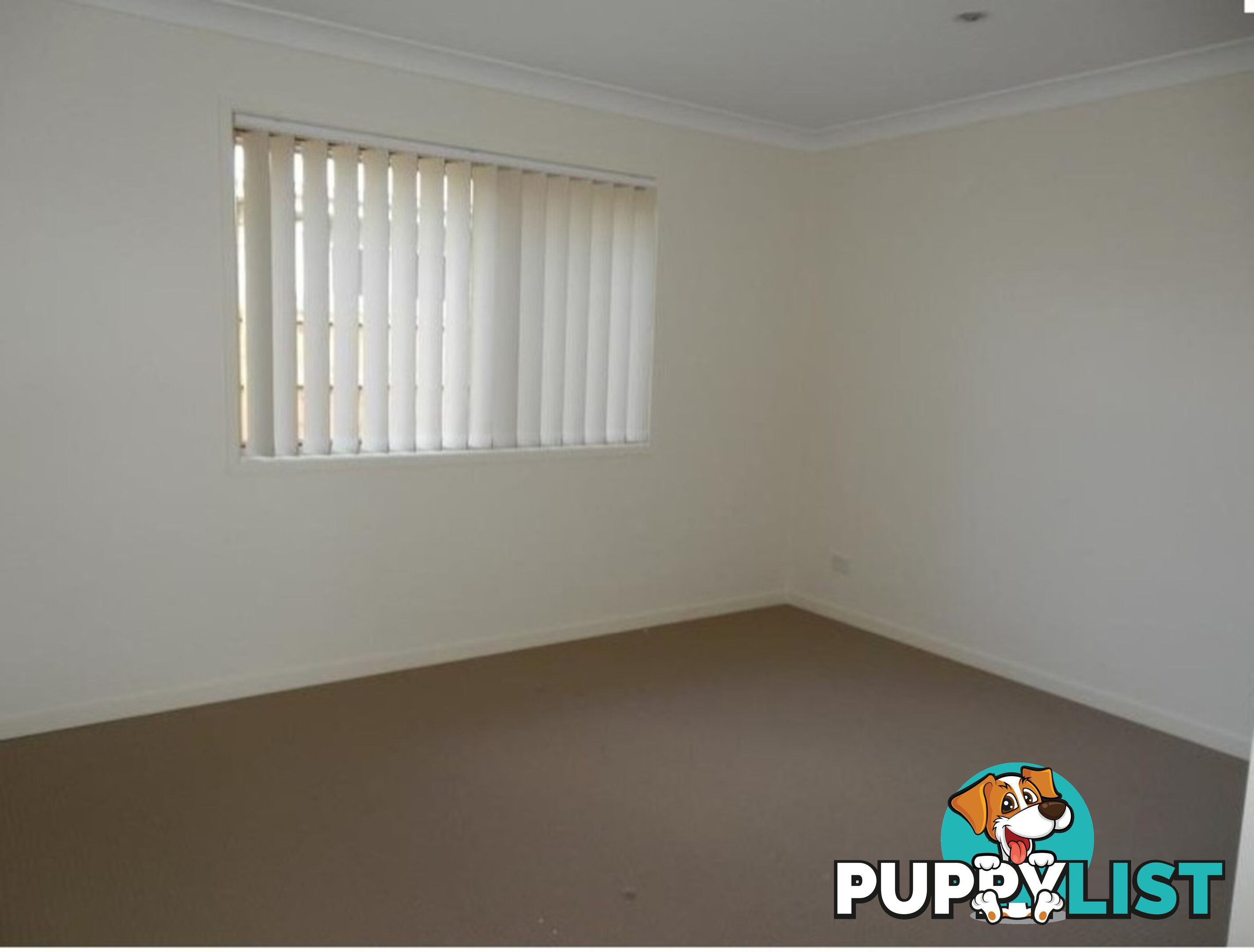 64 Dixon Drive PIMPAMA QLD 4209