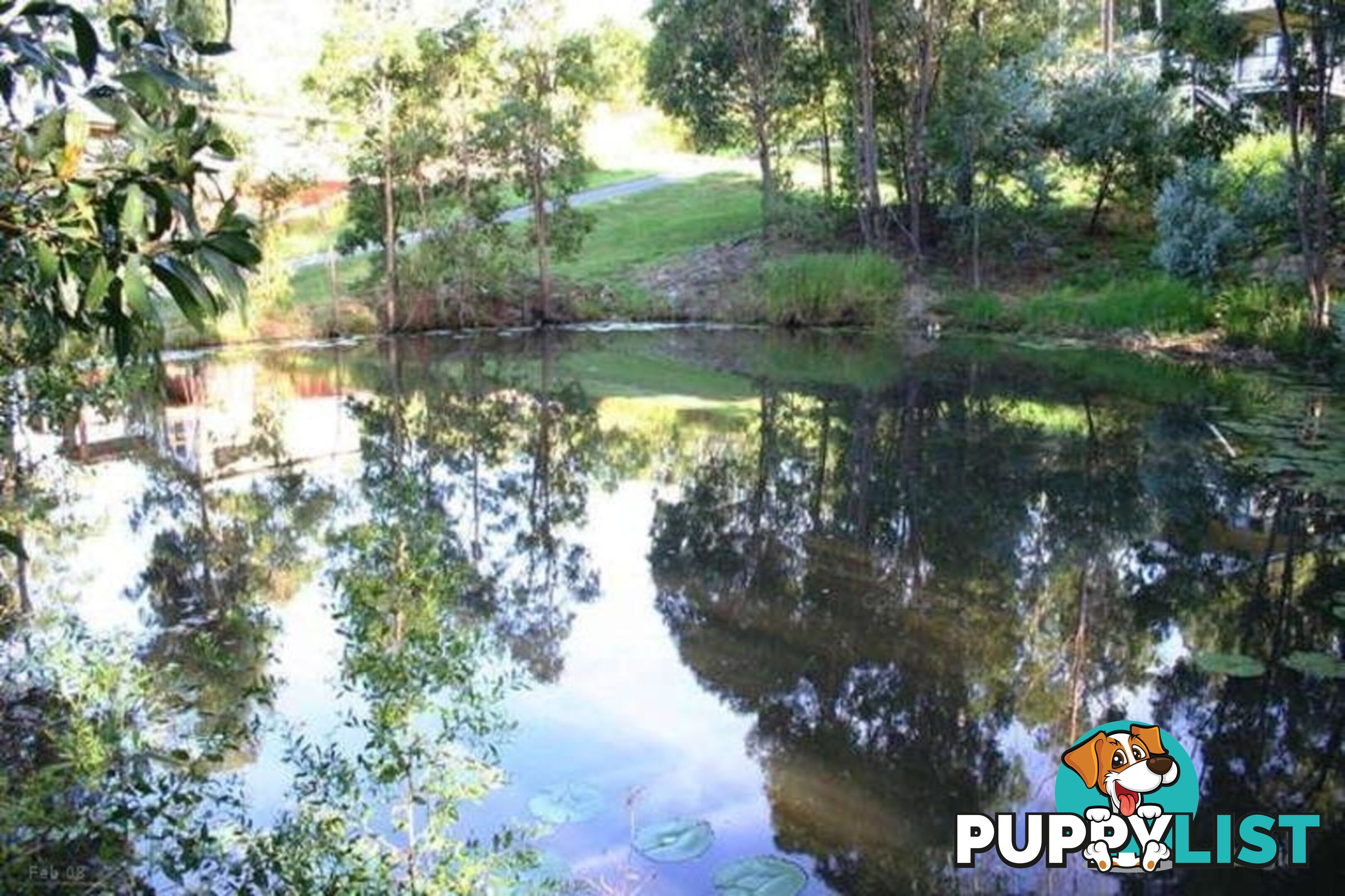 30 Pademelon Pass NERANG QLD 4211