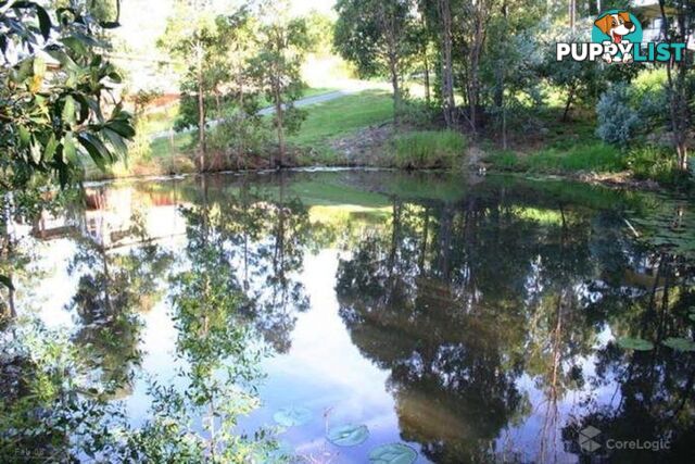 30 Pademelon Pass NERANG QLD 4211