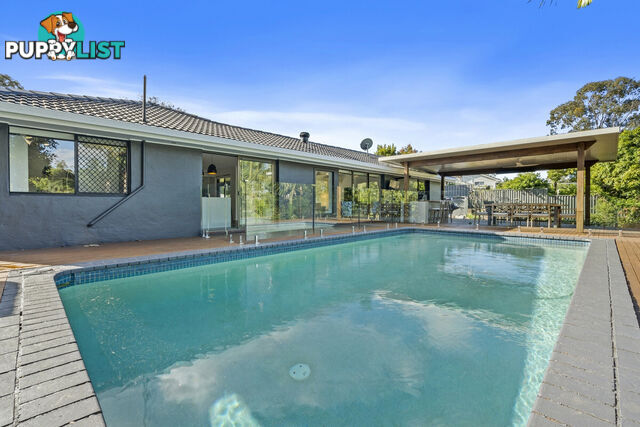 53 Nerang River Drive NERANG QLD 4211
