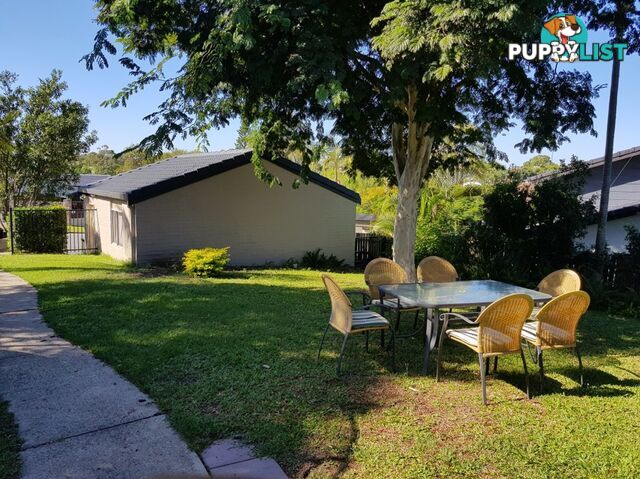 4 Kanni Court ASHMORE QLD 4214