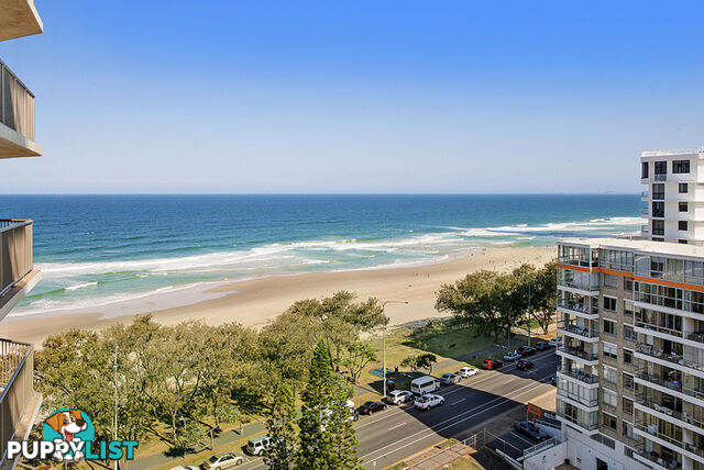 12E/80 The Esplanade SURFERS PARADISE QLD 4217