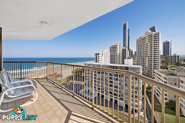 12E/80 The Esplanade SURFERS PARADISE QLD 4217