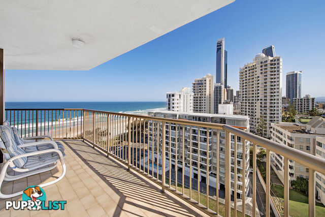 12E/80 The Esplanade SURFERS PARADISE QLD 4217