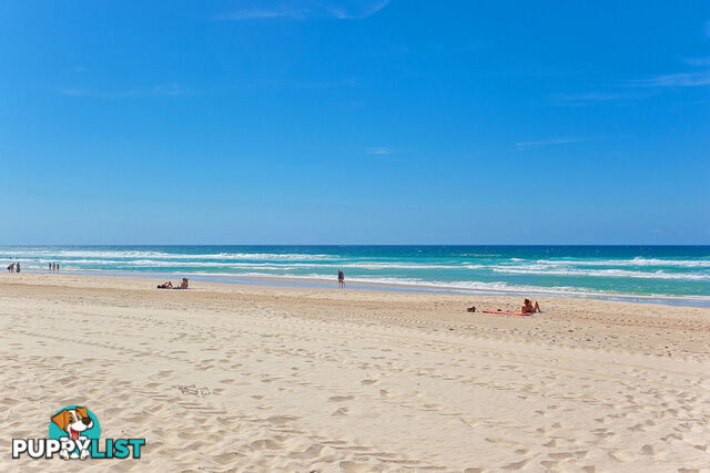 2/12 Markwell Avenue SURFERS PARADISE QLD 4217