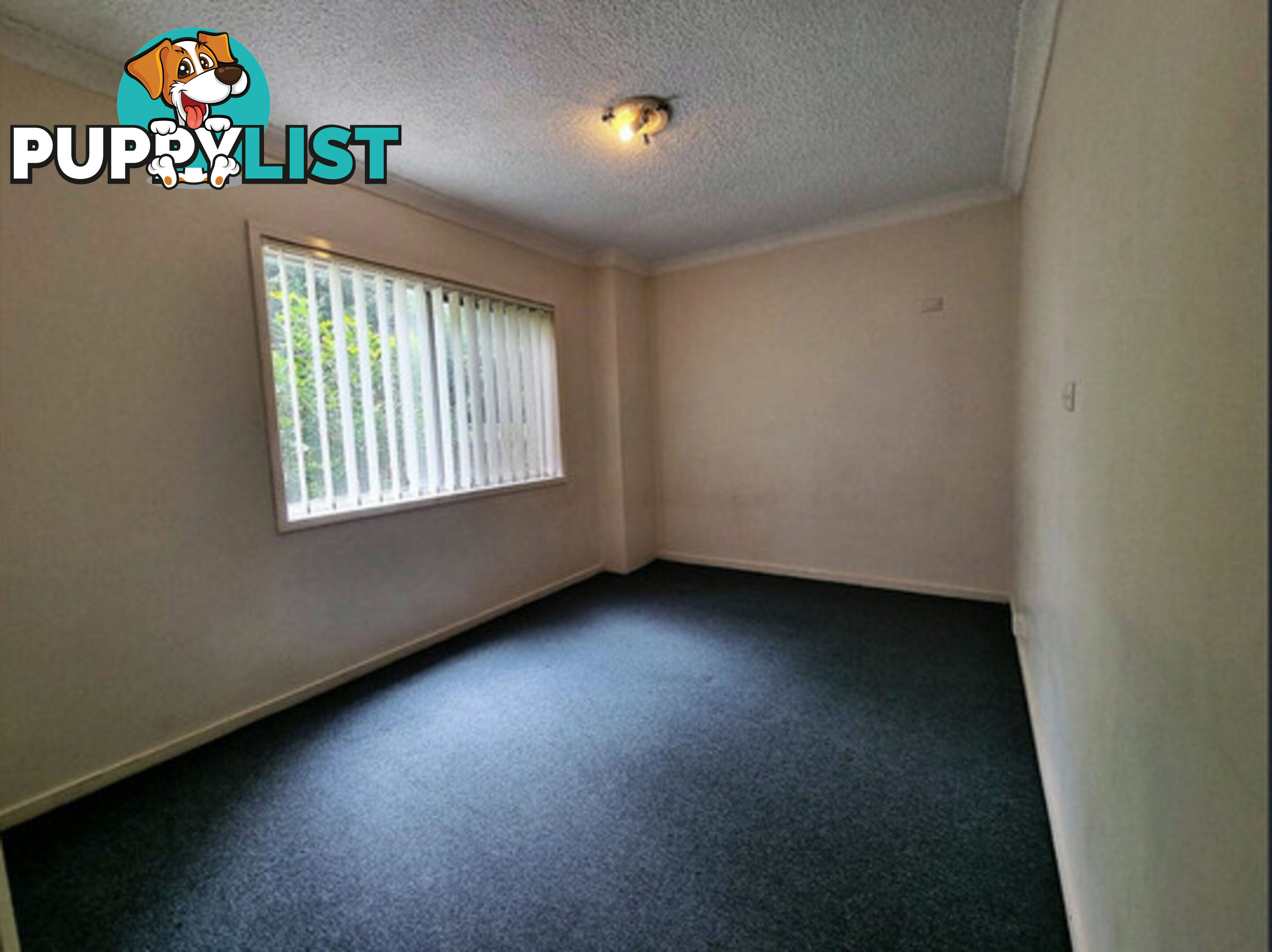 2/12 Markwell Avenue SURFERS PARADISE QLD 4217
