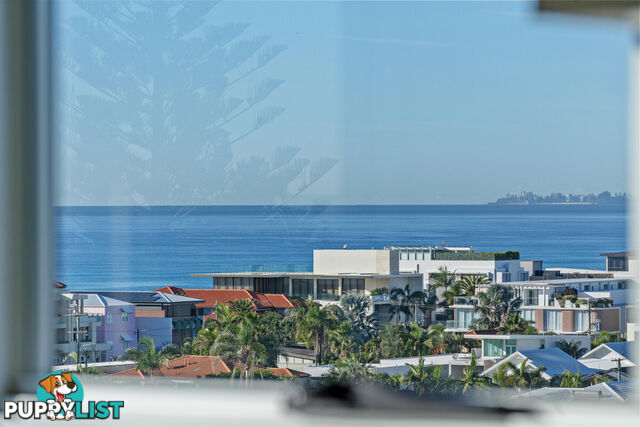 24/19 Mermaid Avenue MERMAID BEACH QLD 4218