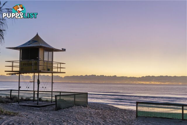 24/19 Mermaid Avenue MERMAID BEACH QLD 4218