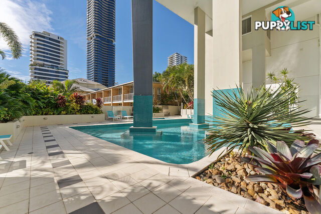 24/19 Mermaid Avenue MERMAID BEACH QLD 4218