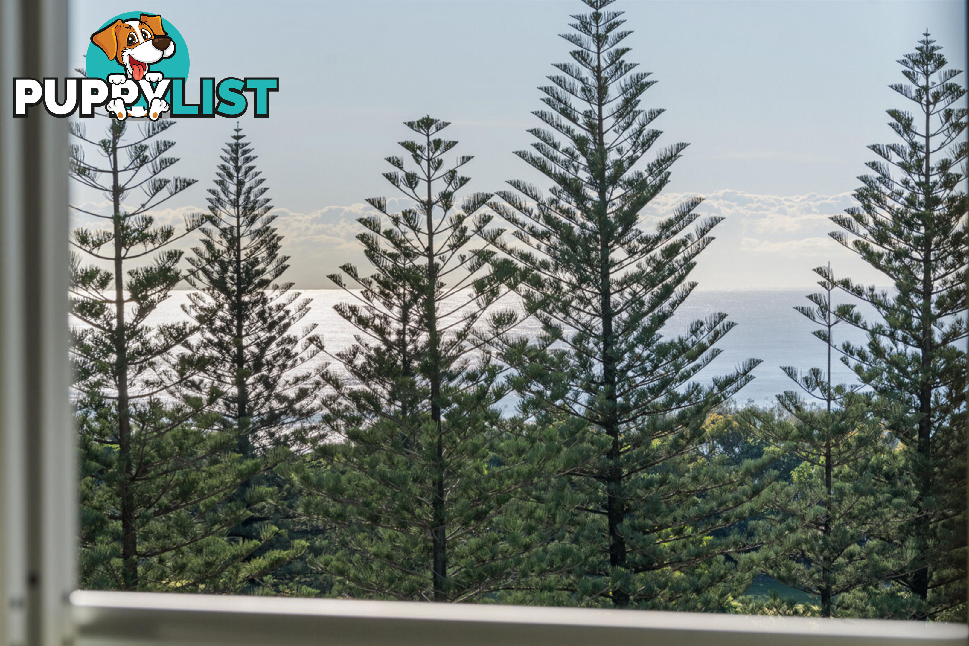 24/19 Mermaid Avenue MERMAID BEACH QLD 4218