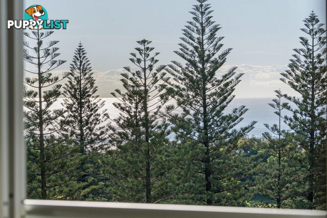 24/19 Mermaid Avenue MERMAID BEACH QLD 4218