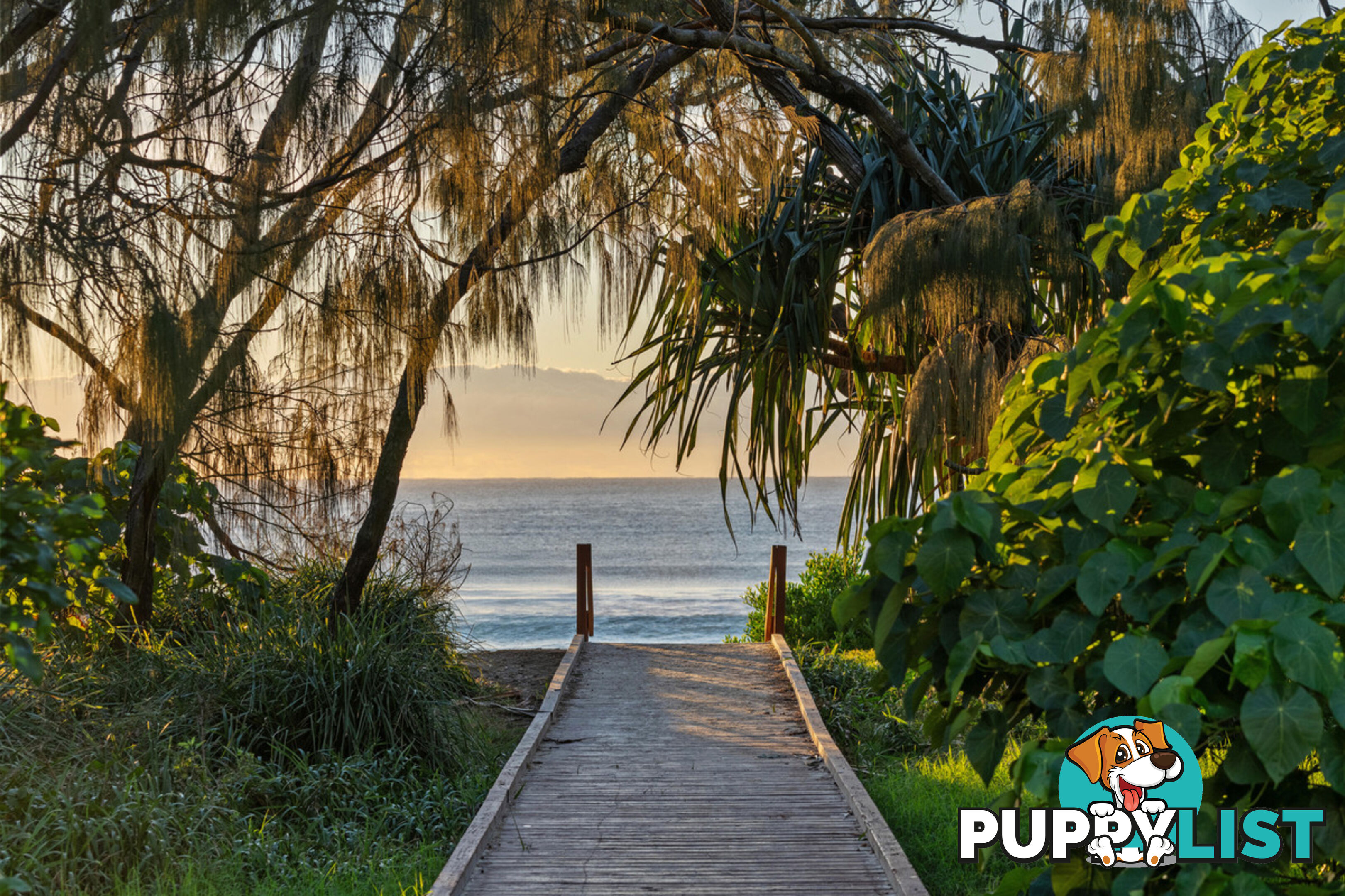 24/19 Mermaid Avenue MERMAID BEACH QLD 4218