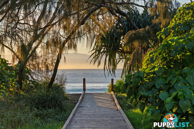 24/19 Mermaid Avenue MERMAID BEACH QLD 4218