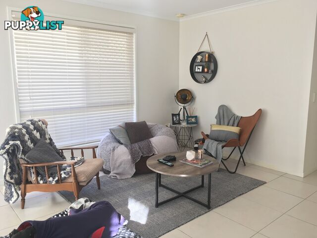 4 Forestwood Court NERANG QLD 4211