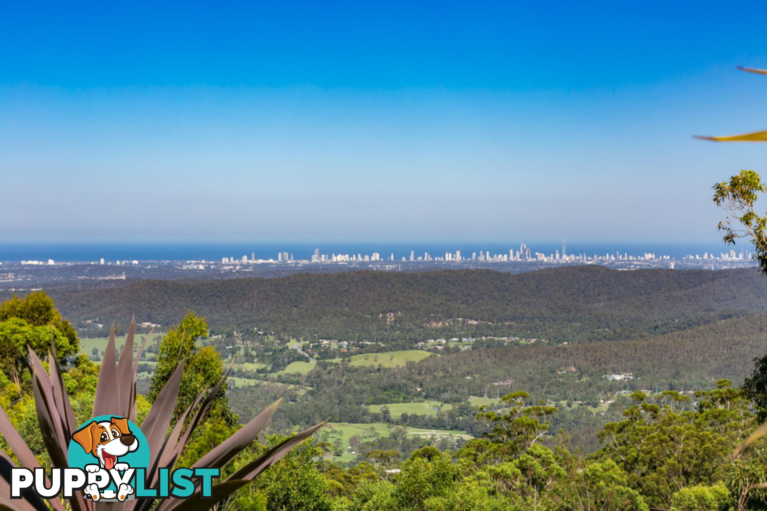 181 Guanaba Road TAMBORINE MOUNTAIN QLD 4272