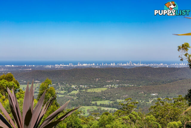 181 Guanaba Road TAMBORINE MOUNTAIN QLD 4272