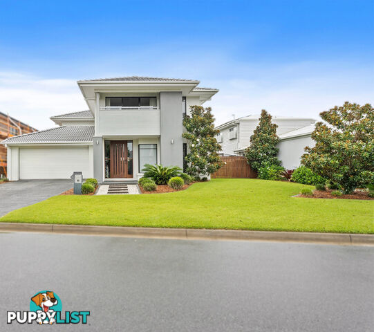 3 Toonumba Street PIMPAMA QLD 4209