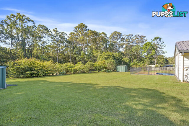 44 Lutana Street NERANG QLD 4211