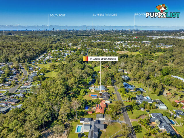 44 Lutana Street NERANG QLD 4211