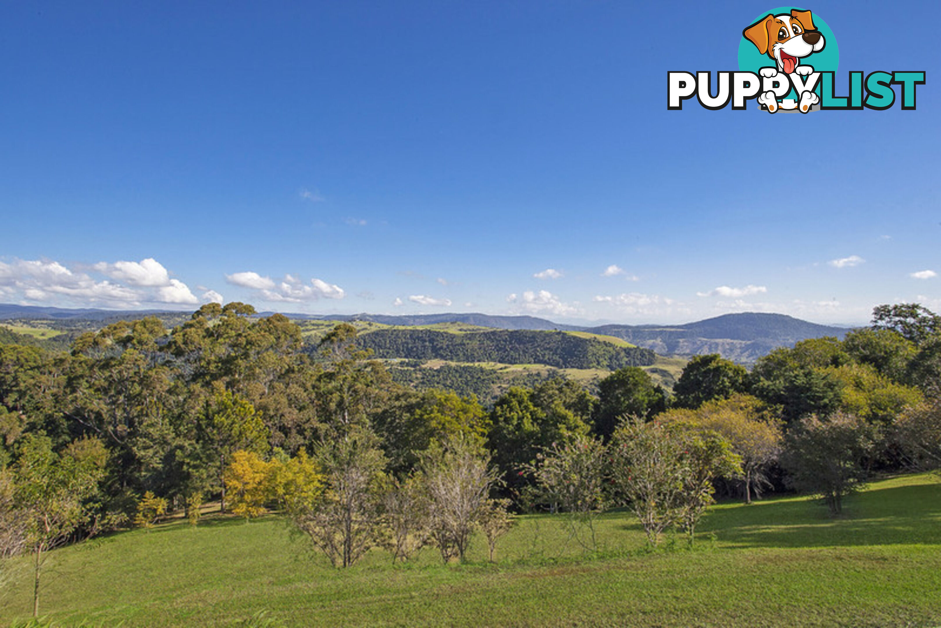 2179 Beechmont Road Beechmont QLD 4211